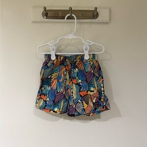 Patagonia Abstract Baggies Shorts 5T